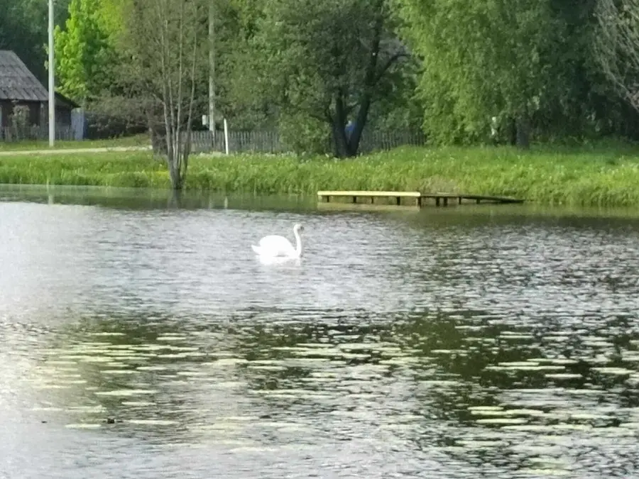 Ящик со свежим уловом